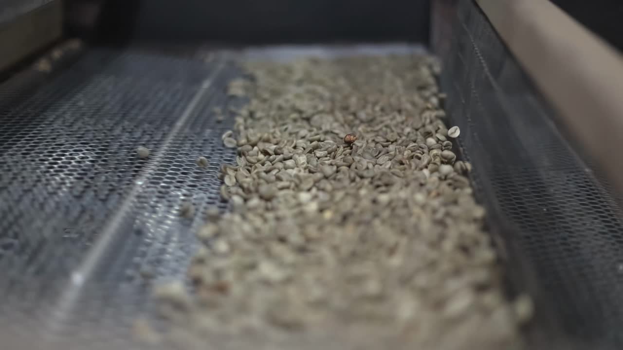 Roasted coffee beans inside a bean cleaning and grading machine