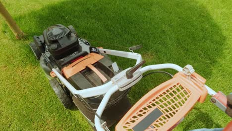 lawn mower cutting the grass. gardening activity. cutting grass with petrol driven lawn mower in sunny garden. gardener working with  mower machine in the garden. lawn mower cutting green grass