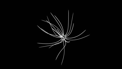 pantalla holográfica 3d de un bucle celular orgánico de una neurona