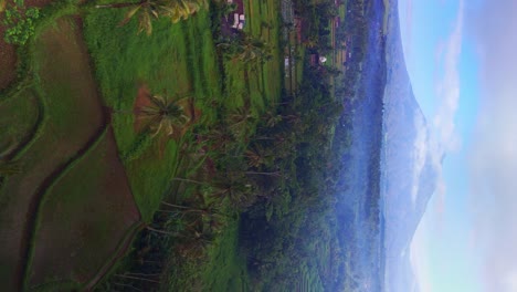 terrazas de arroz ubicadas en la selva cubierta por la ladera del volcán del monte ijen, java, indonesia