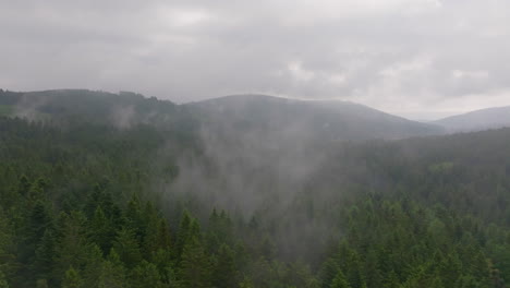 foggy mountain forest: an aerial view