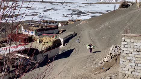 a local villager carrying load of plastic containers walking on a barren and dusty path uphill in spiti valley, himachal pradesh, india