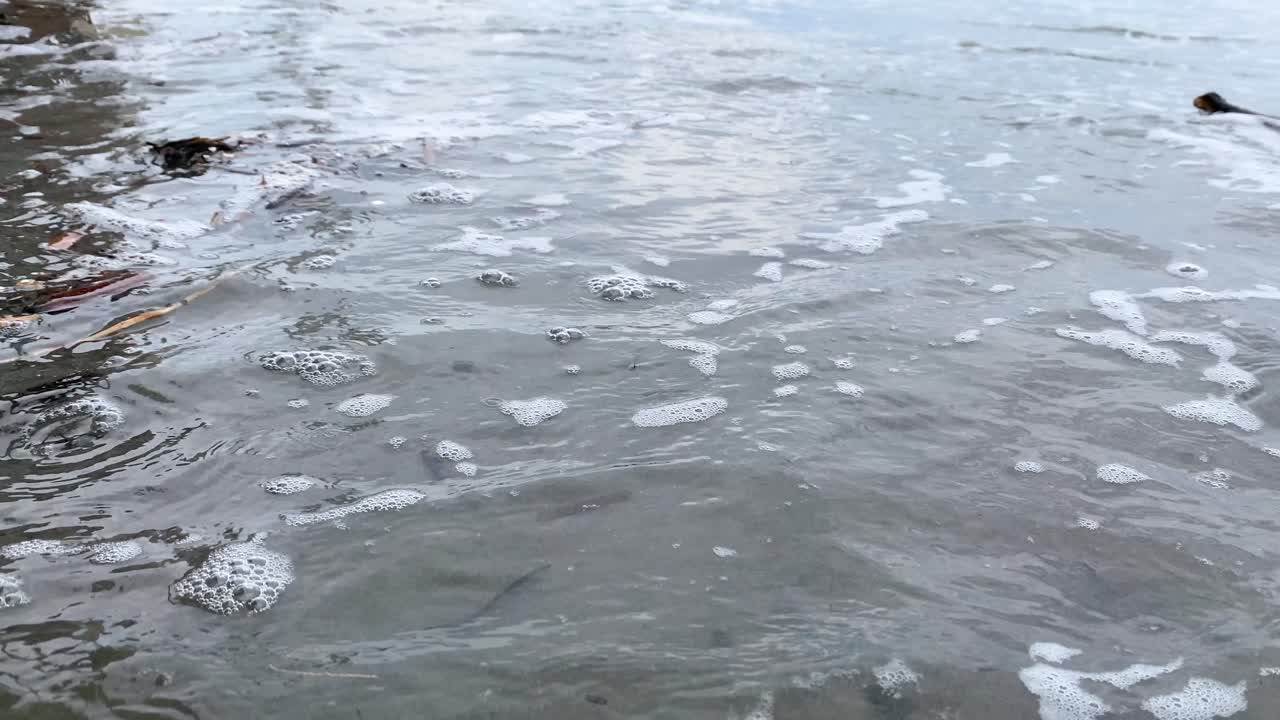 바다의 파도가 쓰레기를 해안으로 아내고