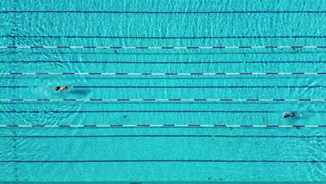 aerial top down of swimming pool with swimmers