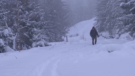 Man-walking-through-a-winter-forest-covered-in-snow-during-a-snowstorm