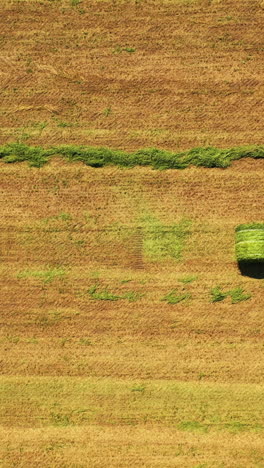 Top view of tractor pressing grass in the field. Aerial view of one round bale and agricultural machine working on a green meadow. Camera moves bottom up. Vertical video