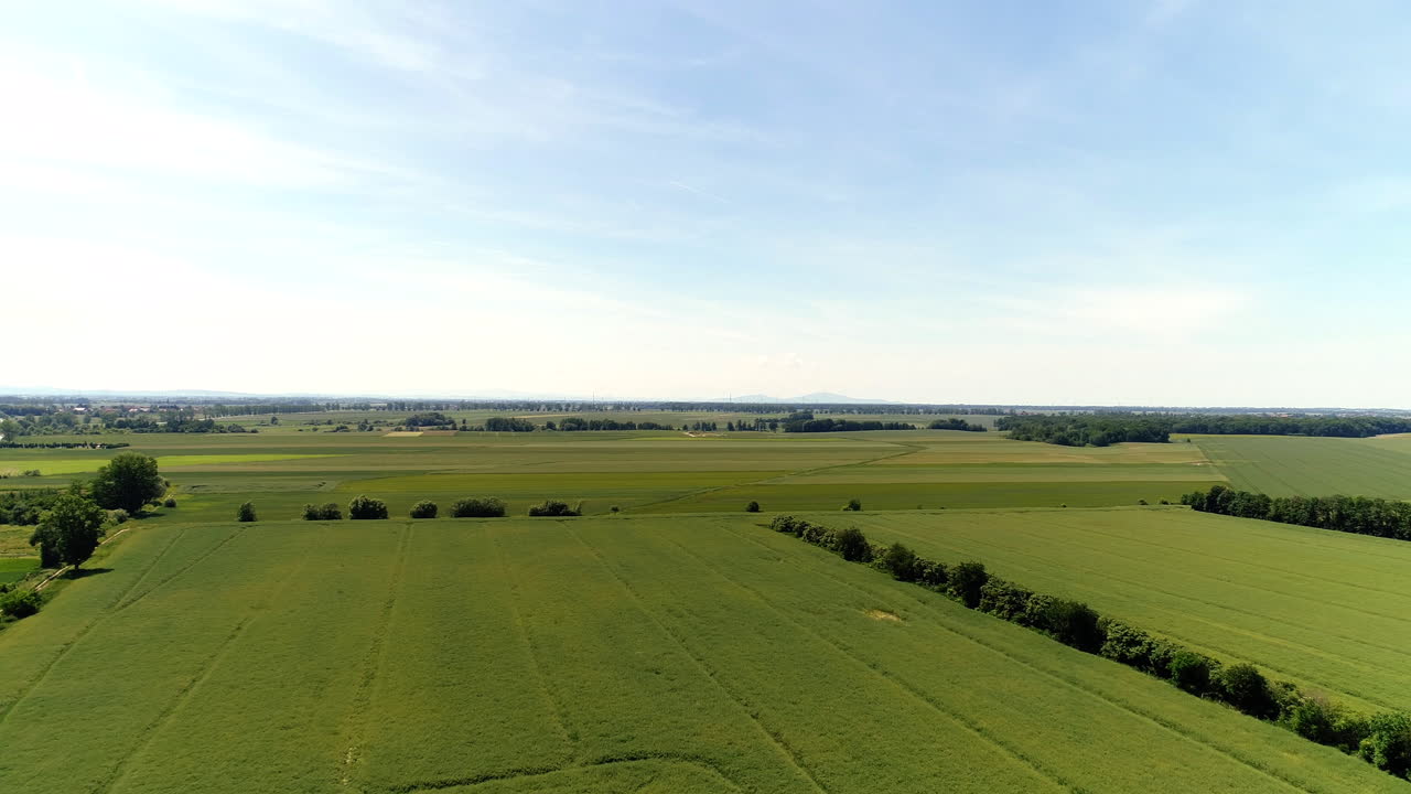 Aerial View of Vast Green Farmland and Rural Landscape
