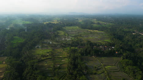 Paisaje-Brumoso-Con-Humos-Crecientes-De-Los-Campos-De-Arroz-De-Bali,-Vista-Aérea-De-Drones