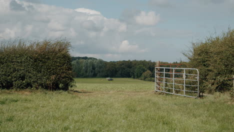 Abra-La-Puerta-De-La-Granja-En-Un-Campo-Grande