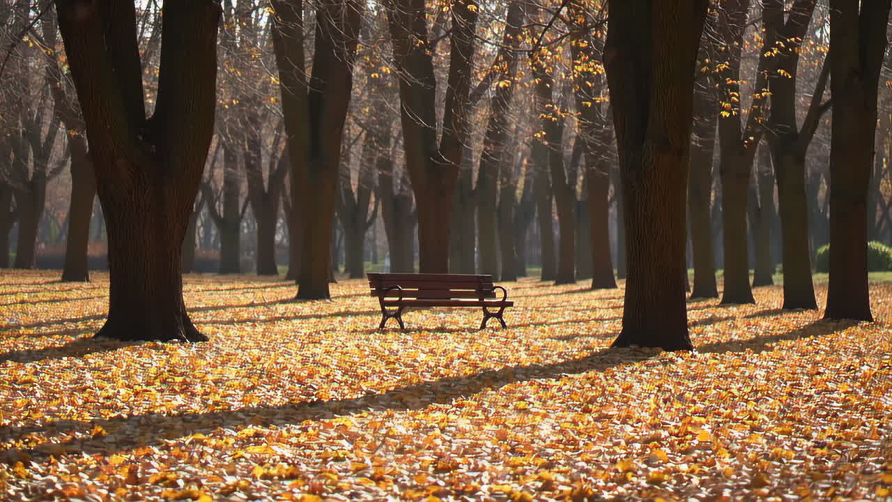 Autumn Park Scene with Empty Bench