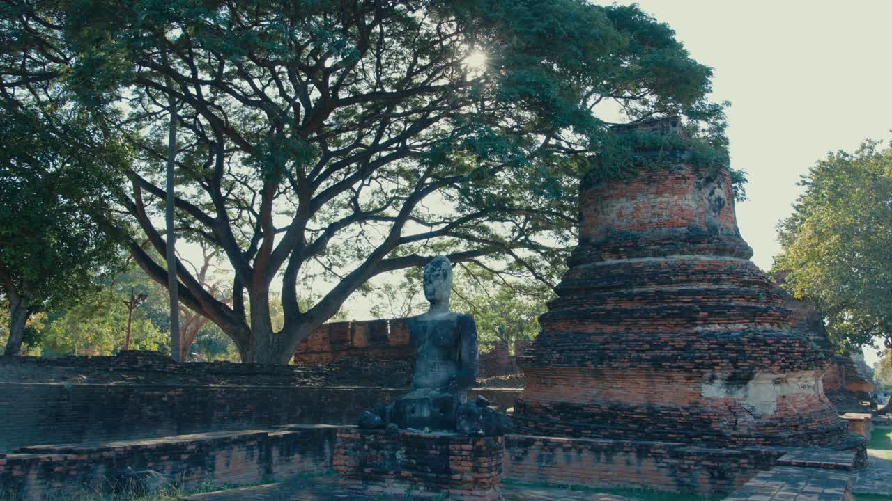 Cinematic 4K: statua di Buddha davanti a un grande albero e uno stupa rotto