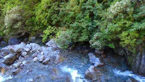 Siguiendo-El-Arroyo-De-La-Cascada-En-Su-Viaje-Río-Abajo---Paseo-Por-La-Cascada-De-Ponche-Del-Diablo,-Parque-Nacional-Arthur&#39;s-Pass