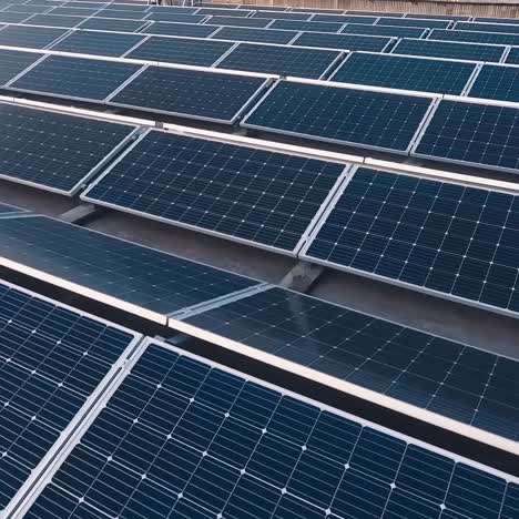 many modern photovoltaic panels on the solar farm.new solar panels receiving clean energy from the sun. motion camera back.