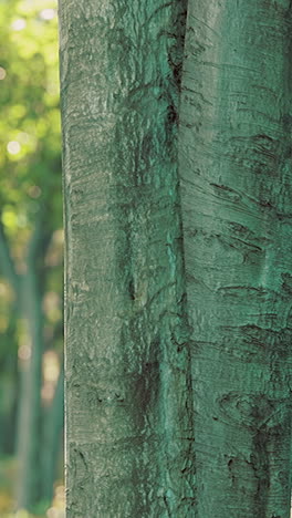 primer plano del tronco de un árbol en un bosque