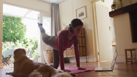 mujer caucásica haciendo ejercicio con su perro mascota usando una computadora portátil en casa