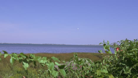 바다와 만나는 merrimack river의 전망