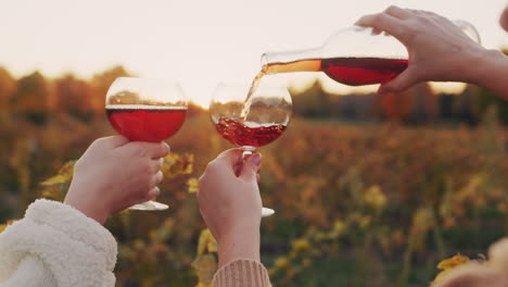 el vino tinto se vierte en copas contra el fondo de la viña