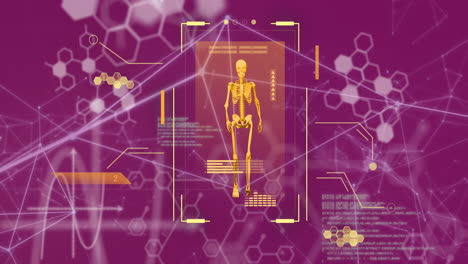 animación de escaneo del cuerpo humano y procesamiento de datos científicos