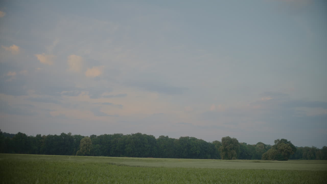 Scenic View of Countryside Landscape