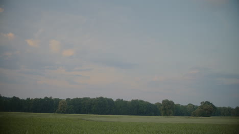 scenic view of countryside landscape