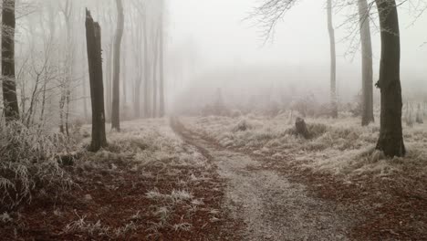 4K-Luftaufnahmen-Einer-Drohne,-Die-Durch-Und-über-Einen-Gefrorenen-Winterwald-Fliegt