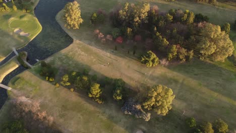 Tilt-down-aerial-view-of-people-playing-golf-during-sunset
