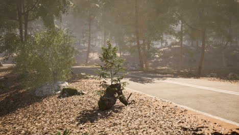 A small bear cub resting near a forest road during a sunny afternoon