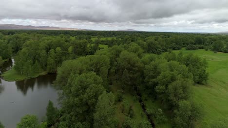 aerial view of a river and forest in a rural setting