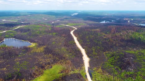 aerial-of-Canadian-wildfire-devastation,-patches-of-burnt-forest