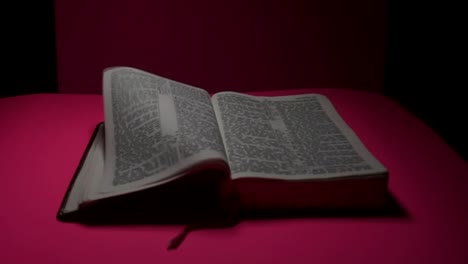 open bible laying on bright pink surface with pages blowing in the wind