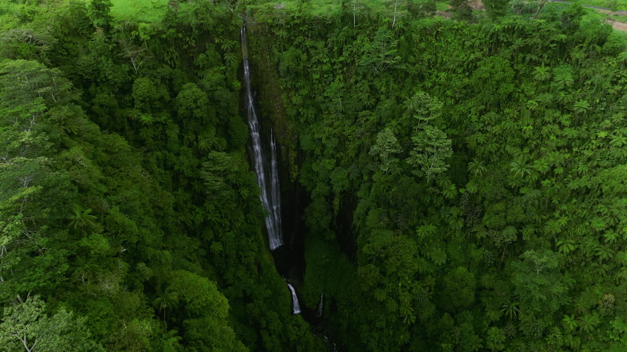 impresionante vista de la cascada de papapapai-uta falls en medio de la isla de upolu en samoa