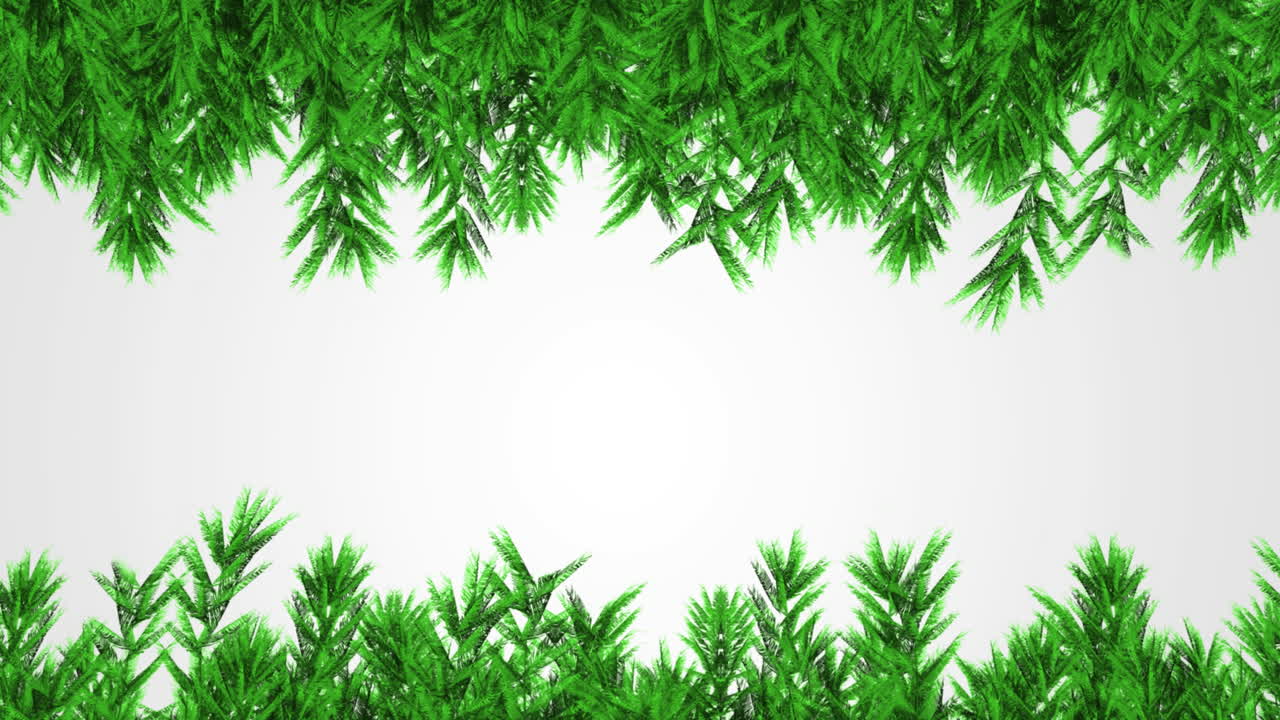 Green christmas tree branches with copy space on grey background