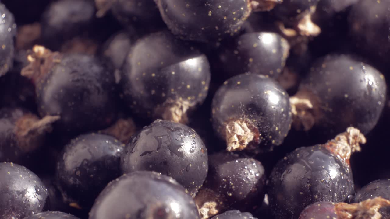 superalimento con un alto contenido de antioxidantes naturales. ácido ascórbico y vitamina c. rotación suave.