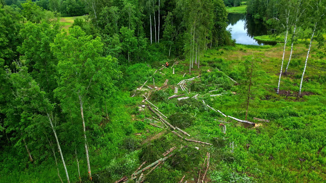 avión no tripulado lento por encima de la zona deforestada verde con bosques cortados, pinos bosque