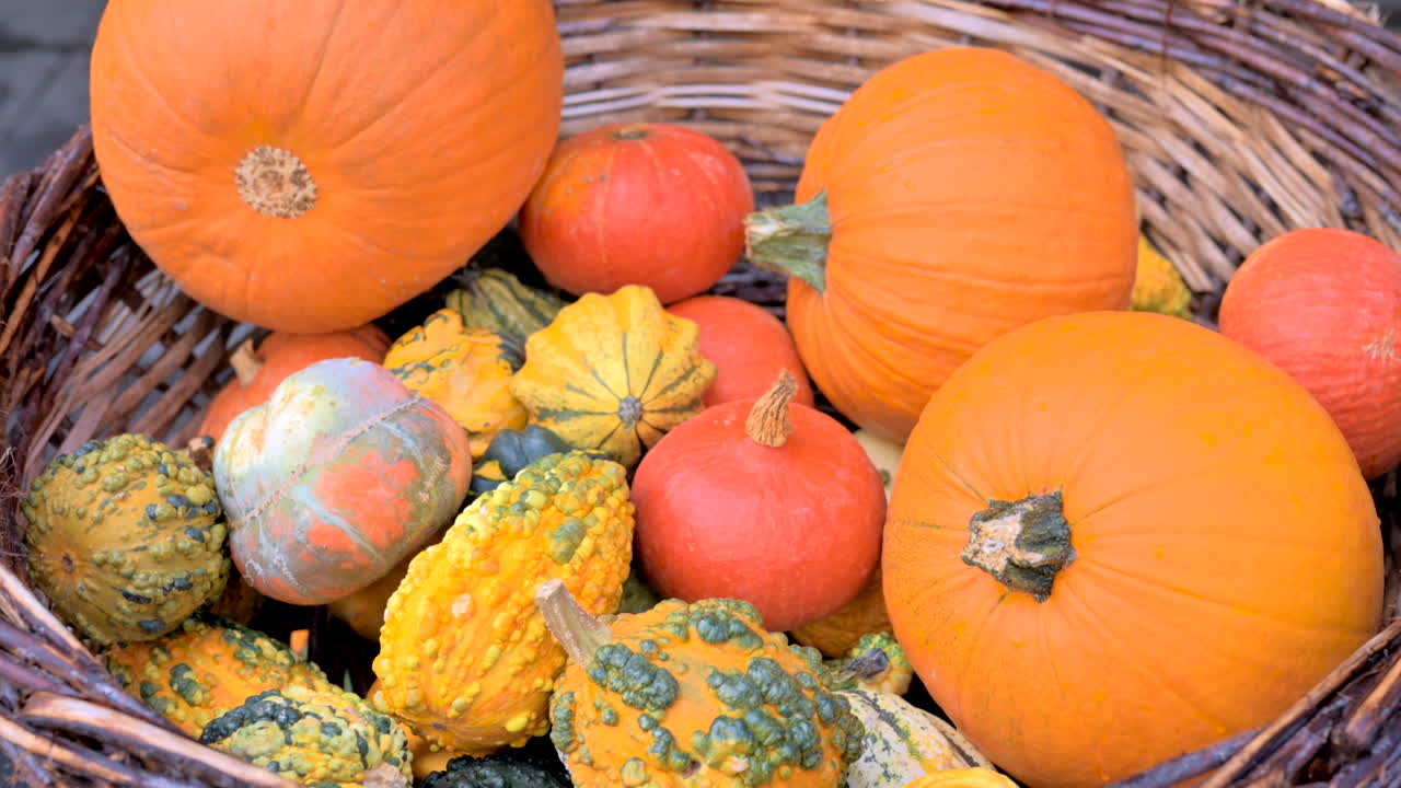 Different types of pumpkins in a basket