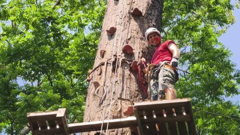 man engaging in treetop adventure