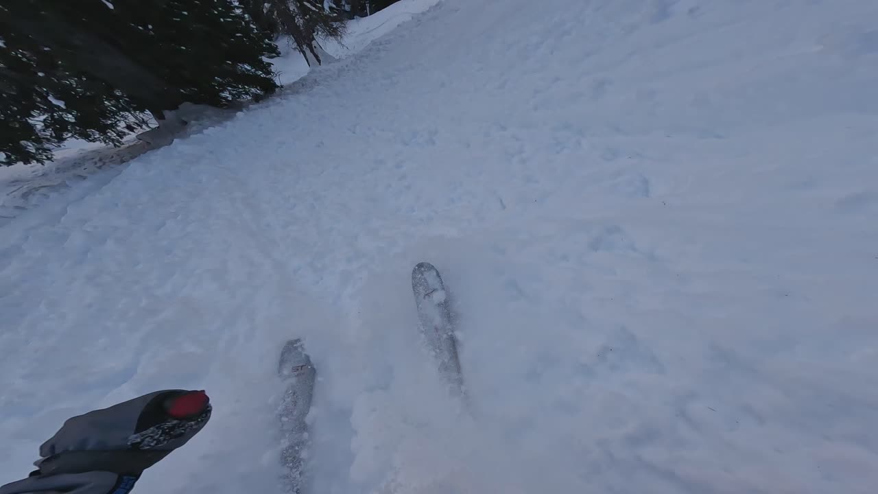 toma pov de esquiador esquiando en nieve profunda entre árboles forestales en las montañas