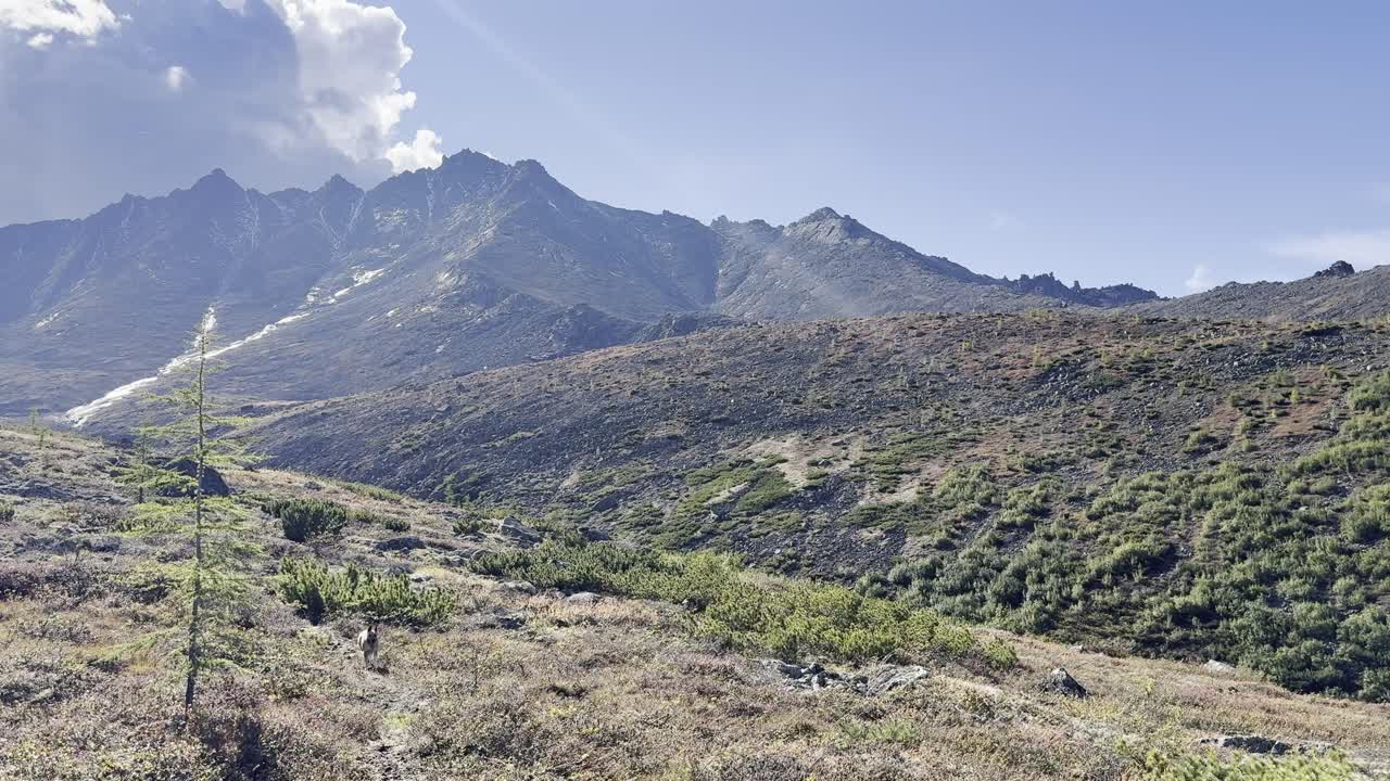 Majestic mountains and a solitary tree define a rugged, expansive landscape