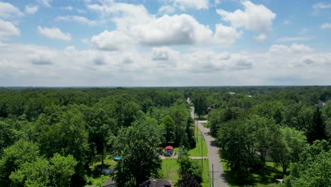 aerial footage showcasing a tree-lined country road extending into the horizon