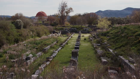 a field of ancient stones with a mosque in the background in miletus