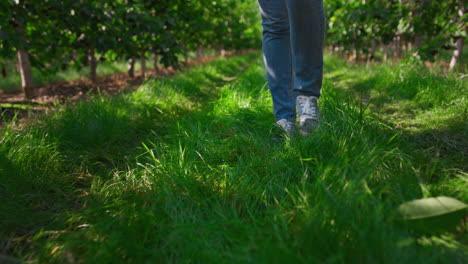 Nahaufnahme-Der-Füße-Des-Gärtners-Auf-Der-Plantage,-Die-Auf-Grünem,-Frischem-Gras-Zum-Ackerland-Geht