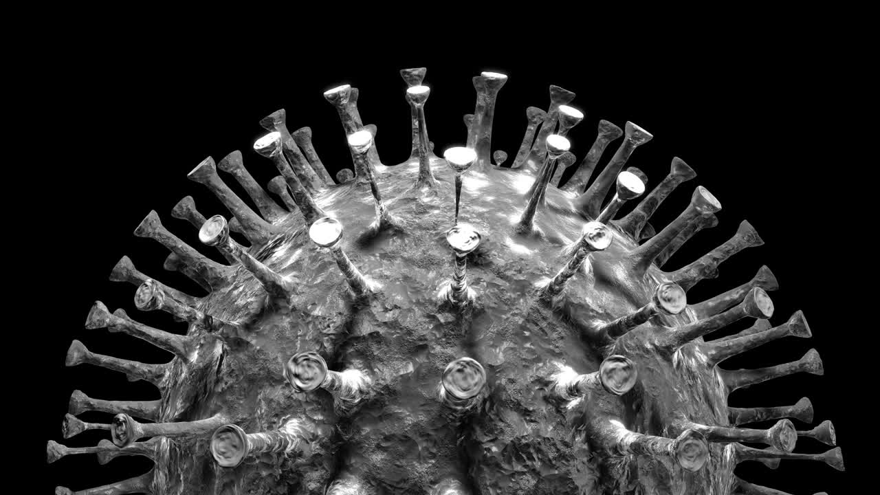 코로나 바이러스