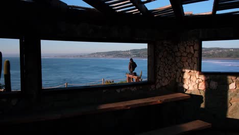 person contemplating the ocean from a cliffside viewpoint