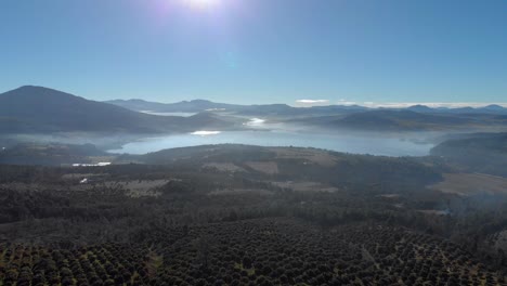 Drone:-Granja-De-Aguacates-Con-Un-Lago-Al-Amanecer