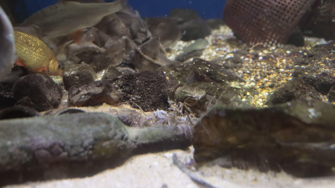 problemas medioambientales relacionados con la contaminación del agua.