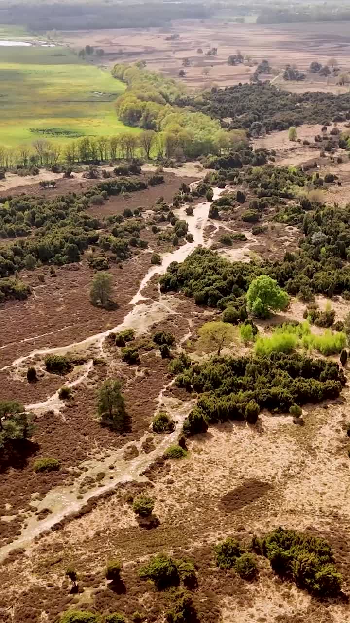 Vista Aérea de Paisagem de Charneca com Trilha de Caminhada