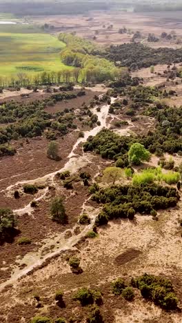 aerial view of heath landscape with hiking path