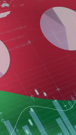 animation of flag of belarus over data processing