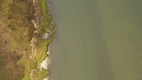 top down drone camera view of the shoreline in a marsh area, on a cloudy day