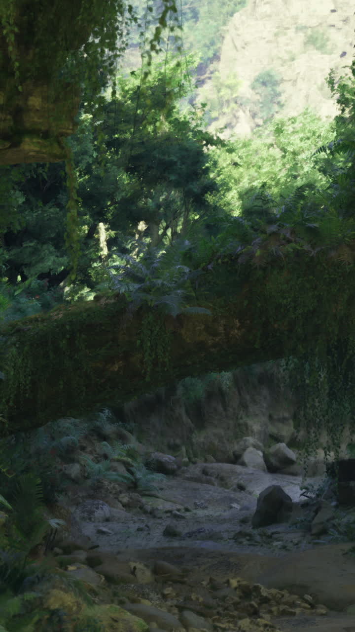 Exploration of a lush overgrown ancient pathway in a tropical jungle setting